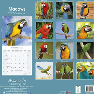 👉 Kalender One Size meerkleurig Dieren/vogel 2022 ara/papegaaien 30 cm - Maandkalenders/jaarkalenders Wandkalenders 9781839412462