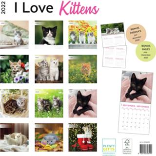 👉 Kalender One Size meerkleurig Huisdieren/dieren 2022 poezen en katten kittens 30 cm - Maandkalenders/jaarkalenders Wandkalenders 8720165756490