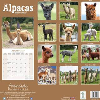 👉 Kalender One Size meerkleurig Dieren 2022 alpacas/lamas 30 cm - Maandkalenders/jaarkalenders Wandkalenders 9781839412486