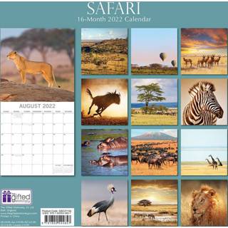 👉 Kalender One Size meerkleurig Dieren 2022 safari 30 cm - Maandkalenders/jaarkalenders Wandkalenders 9781800544857