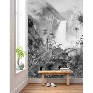 👉 Waterval Komar muurfoto Jurassic 200x280cm 4055065390203