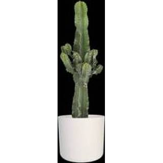 👉 Sierpot One Size no color Euphorbia cactus in ® ELHO b.for soft (19x60 cm)