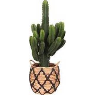 👉 Mand zwart One Size no color mannen Euphorbia in Soembawa (zwart accent) (SP339 - 30x70 cm)