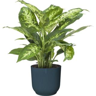 Sierpot blauw One Size no color Dieffenbachia in ELHO Vibes Fold (diepblauw) (14x35 cm)