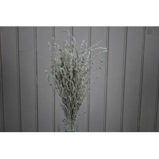 👉 Wit natuurlijk materiaal GeenKleur Bries aan Zee Gedroogde Salvia Default 8785267658769