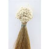 👉 Natuurlijk materiaal GeenKleur Bries aan Zee Glixia naturel Default 8785261909126