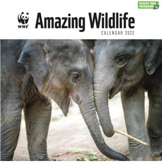 👉 Kalender One Size meerkleurig Wilde dieren 2022 Amazing Wildlife WNF 30 cm - Maandkalenders/jaarkalenders Wandkalenders 9781529815771