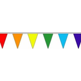 👉 Vlaggenlijn polyester regenboog 5 meter