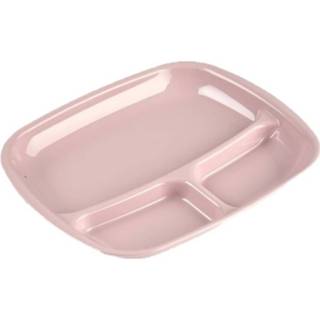 👉 Bord roze kunststof One Size GeenKleur Set van 6x stuks camping/fondu/bbq borden 3-vaks oud 21 x 24 cm - Fonduebord Gourmetbord Barbecuebord 8720576495209