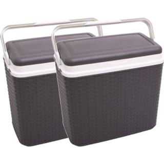 👉 Koelbox grijs One Size rotan 10 liter van 30 x 19 28 cm - Koelboxen voor onderweg op de camping of het strand 8002936895103