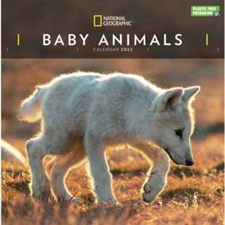 👉 Kalender One Size meerkleurig baby's Dieren 2022 baby National Geographic 30 cm incl. 2 zelfklevende ophanghaken - Maandkalenders/jaarkalenders 8720576425664