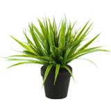 👉 Kunst plant kunststof active Gras/grasstruik kunstplant in pot 33 cm