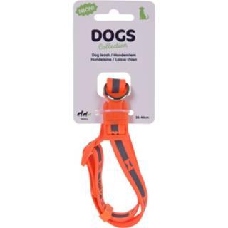 Halsband grijs oranje nylon Dogs Collection 25-40 Cm Grijs/oranje 8720585028047