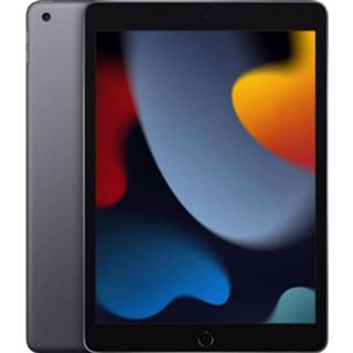 👉 Grijs Apple 10.2-inch Ipad 256gb Wi-fi 2021 (Grijs) 194252516485