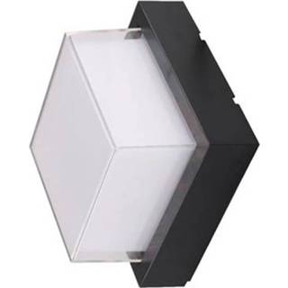 👉 Buitenlamp zwart wit kunststof Led Tuinverlichting - Agusa 4 Wand Mat 12w Natuurlijk 4200k Vierkant 7433603694643