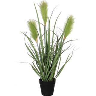 👉 Kunstplant groen riet kunststof grasplant in pot H53 x D30 cm