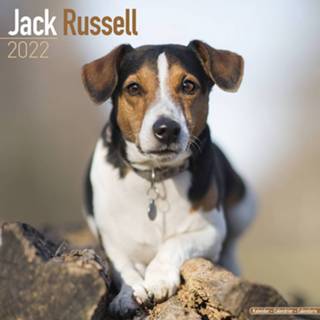 👉 Kalender Huisdieren/dieren 2022 Jack Russel Honden 30 Cm - Jaarkalenders 8720576386927