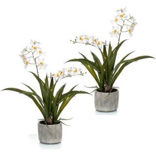 👉 Orchidee witte keramische Set Van 2x Stuks Orchidaceae Kunstplanten In Pot 45 Cm - 8720276638630