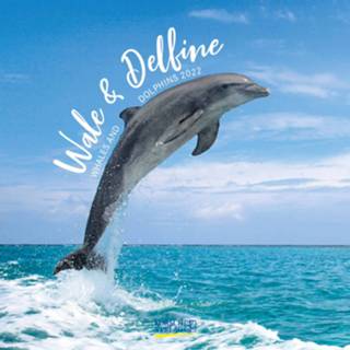 👉 Kalender papier Korsch Verlag 2022 Whales & Dolphins 30 X Cm 9783731854005