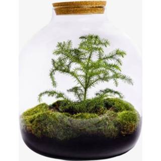 👉 Kerstboom Hebexl- - ?45cm / Ø40cm 8720254679563