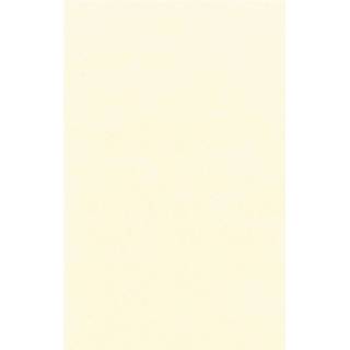 👉 Tafelkleed papier kunststof Cremewitte Afneembare Tafelkleden/tafellakens 138 X 220 Cm Papier/kunststof - Feesttafelkleden 8719538428836