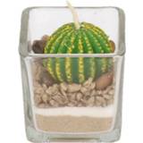 👉 Bolcactus kaars 5 cm