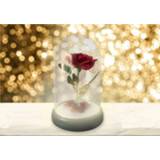 👉 Rose Paladone Disney - Beauty and the Beast Enchanted Light v2 5055964717544