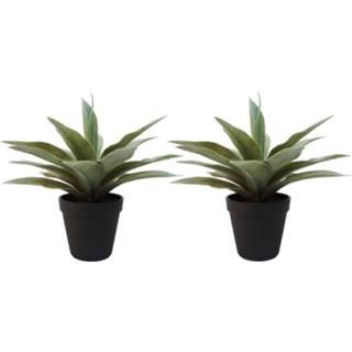 👉 Kunstplant grijze groene Set Van 2x Stuks Grijze/groene Kunstplanten Agave Succulent Plant In Pot - 8720276415873