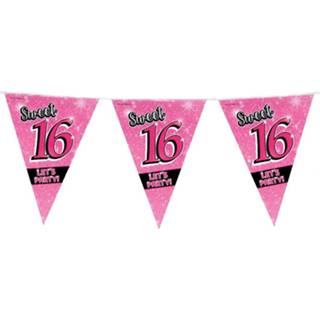 👉 Slinger 16 Jaar Verjaardag Slingers Sweet 10 Meter Versiering - Vlaggenlijnen 8720276486866