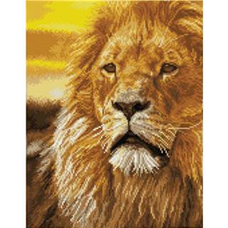👉 Diamond Dotz Lord Of Serengeti Painting, 21.840 Dotz, 45x35 Cm 4895225917822