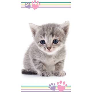 👉 Strandlaken katoen Animal Pictures Kitten - 70 X 140 Cm 8592753028834