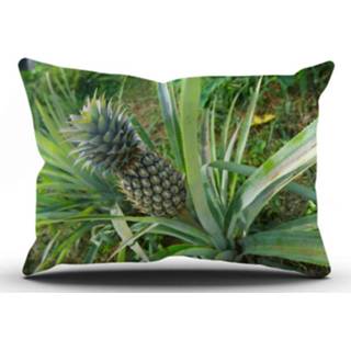 👉 Tuinkussen Pure Nature - B 60 X L 40 Cm 7445933283268