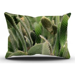 👉 Tuinkussen Cactus - B 50 X L 30 Cm 7445933283275