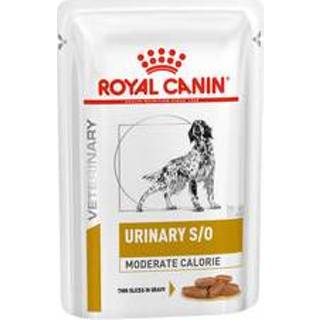 👉 Blikken blik Royal Canin Urinary S/O Hond - 48 x 100 g maaltijdzakjes 9003579116463 3182550711418 3182550717687 9003579118832