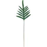 👉 Kunstplant groen Gerimport Varenblad 80 Cm Donkergroen 8430540879262