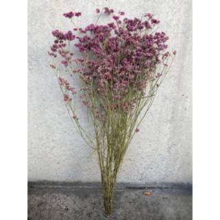 👉 Roze natuurlijk materiaal GeenKleur Bries aan Zee Limonium diamond oud Default 8785261909188