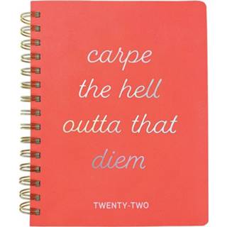 👉 Agenda Graphique De France Carpe Diem 20 X 15 Cm 2021-2022 9781477098912