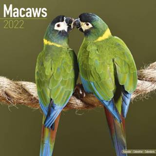 👉 Kalender Dieren/vogel 2022 Ara/papegaaien 30 Cm - Jaarkalenders 8720576384787