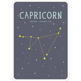 👉 Active Milestone Geboorteposter sterrenbeeld– Capricorn/Steenbok (Engelstalig) 8718564767926