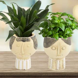 👉 Vaas keramiek One Size Color-Bruin Orange85 - Design 2 stuks 8720289416843