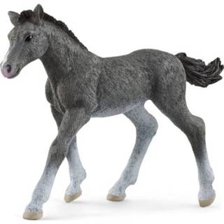 👉 13944 Schleich trakehner veulen 4059433461106