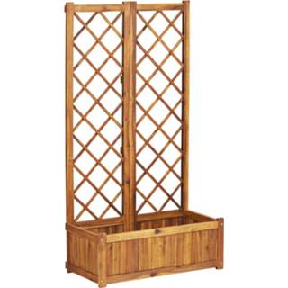 👉 Plantenbak acaciahout Vidaxl Verhoogd Met Latwerk 80x38x150 Cm Massief 8719883743899