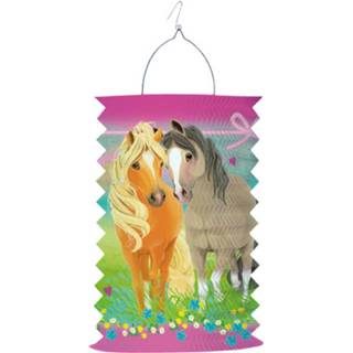 👉 Lampion roze papier Amscan Pretty Pony Junior 28 Cm 194099055574