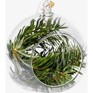 👉 Kerstbal glas Glazen Met Hanger En Dennentak - ?12cm / Ø10cm 8720254679600