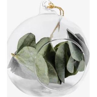 👉 Kerstbal glas Glazen Met Hanger En Eucalyptus - ?12cm / Ø10cm 8720254679594
