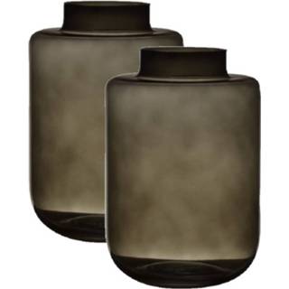 👉 Luxe vaas glas 2x Stuks Rookgrijze Vaas/vazen Van 26,5 X 18 Cm - Vazen 8720576557853