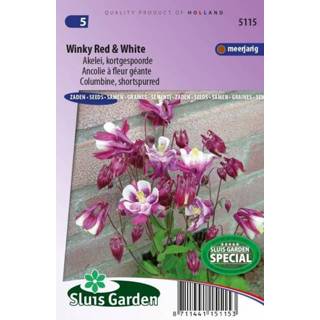 👉 Akelei rood wit Winky Red & White - Aquilegia