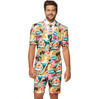 👉 Verkleedpak polyester mannen Opposuits Zomer Aloha Hero Heren 8719874023443