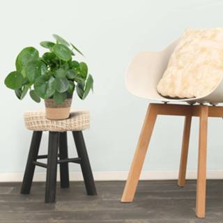 👉 Mand One Size Color-Groen mannen We Love Plants - Pilea Peperomioides + Ruud 2 stuks 25 cm hoog Pannenkoek Plant 8720514870884