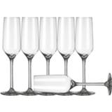 👉 Champagneglas transparant 6x Champagneglazen/flutes 220 Ml Carre - Champagneglazen 8720147718904